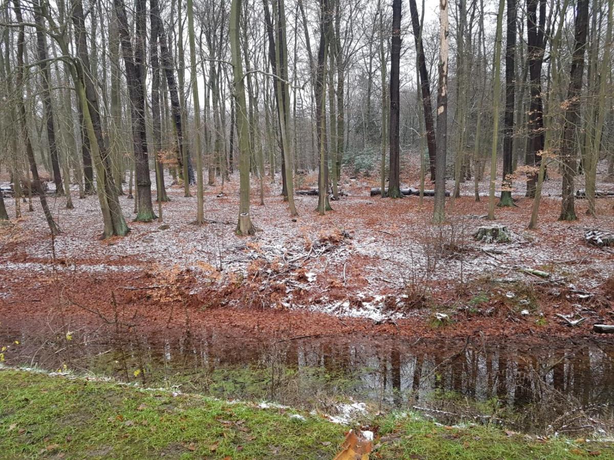 Gaestehaus Vergissmeinnicht Guteborn Zewnętrze zdjęcie